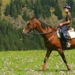 horseriding7