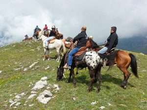 horseriding3