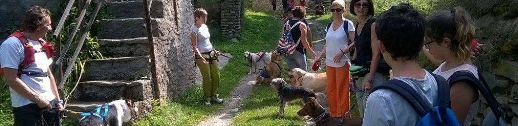 payarin dog trekking