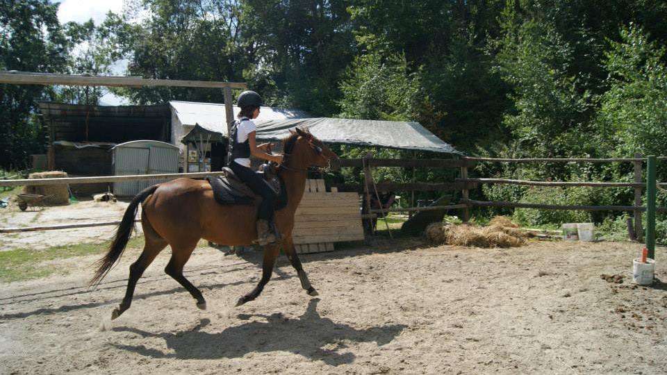 ranch payarin