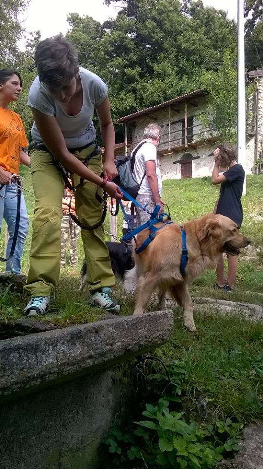 dog-trekking-2